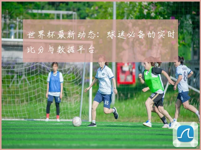 世界杯最新动态:球迷必备的实时比分与数据平台