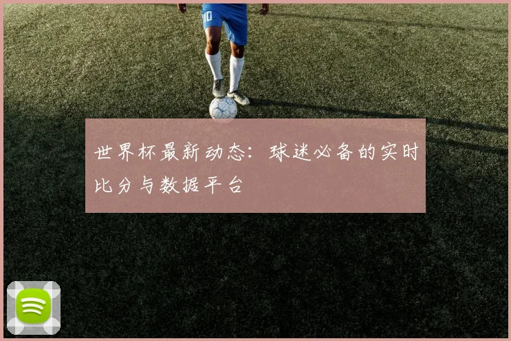 世界杯最新动态：球迷必备的实时比分与数据平台